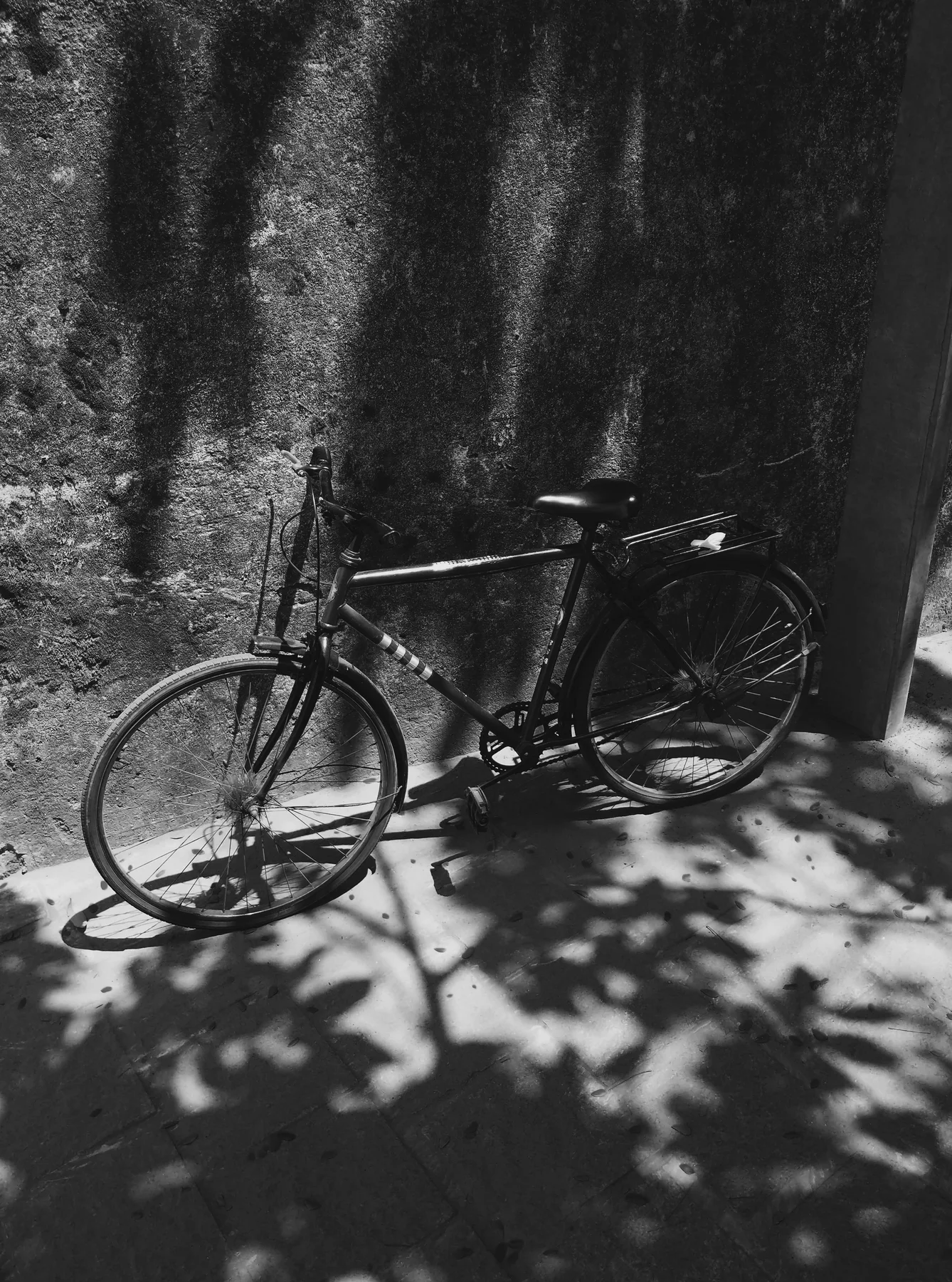 Untitled photograph 38 from Aparna's archive